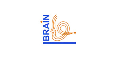Clients About Brazil - Brain